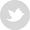 Twitter Icon